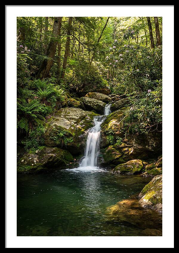 Cedar Falls Tranquility