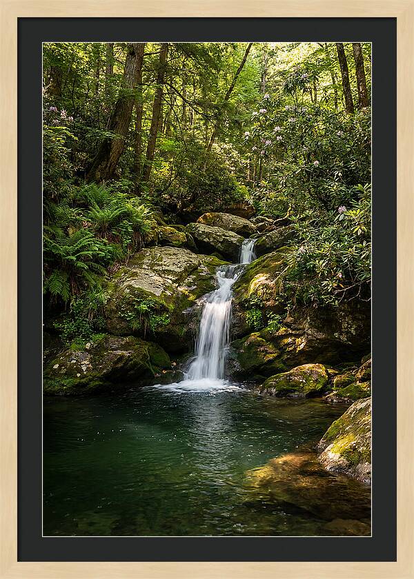 Cedar Falls Tranquility