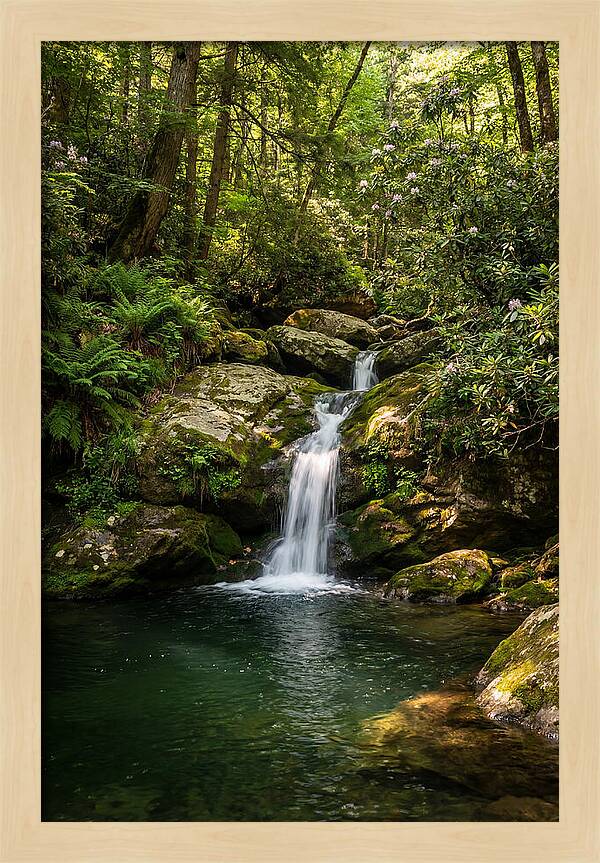 Cedar Falls Tranquility