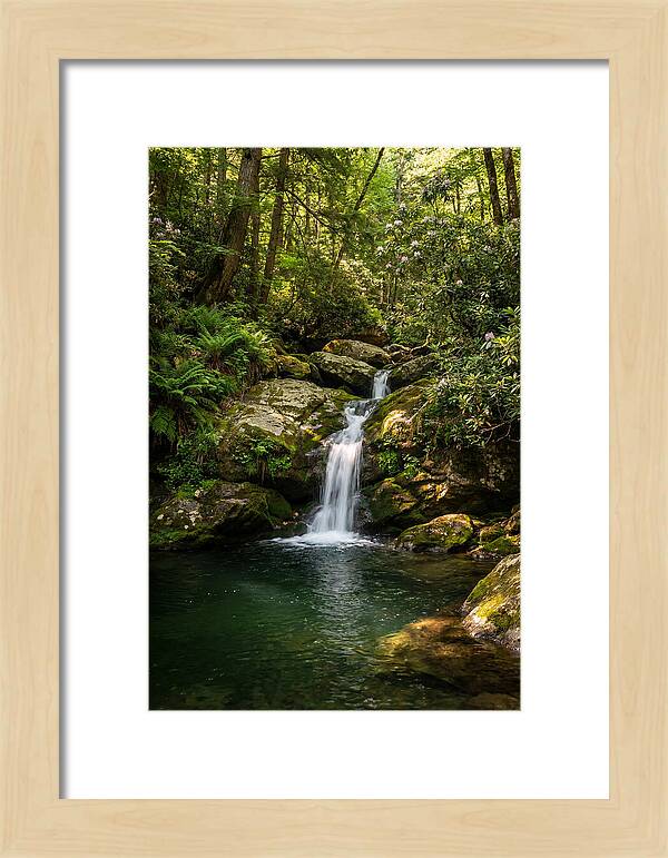 Cedar Falls Tranquility