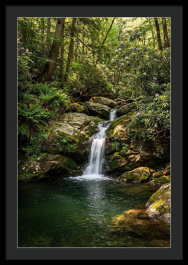 Cedar Falls Tranquility