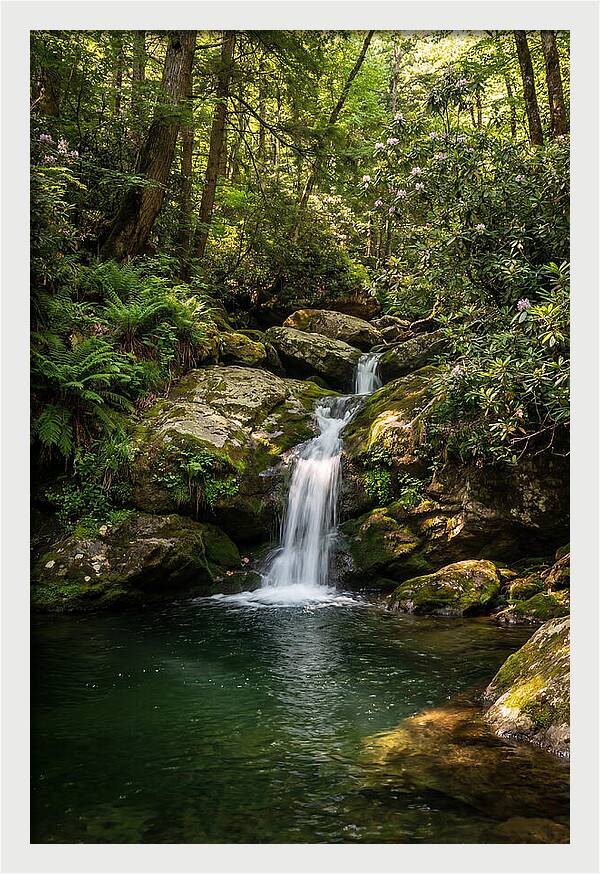 Cedar Falls Tranquility