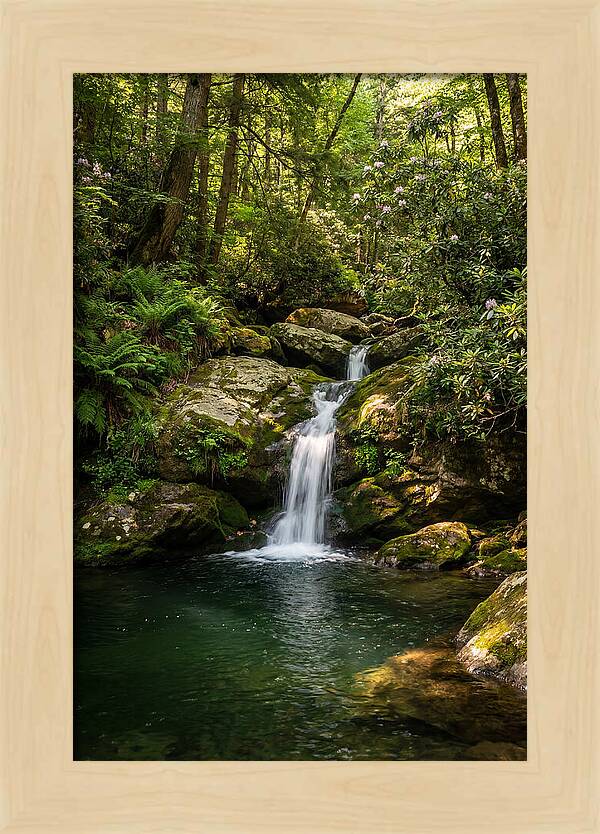 Cedar Falls Tranquility