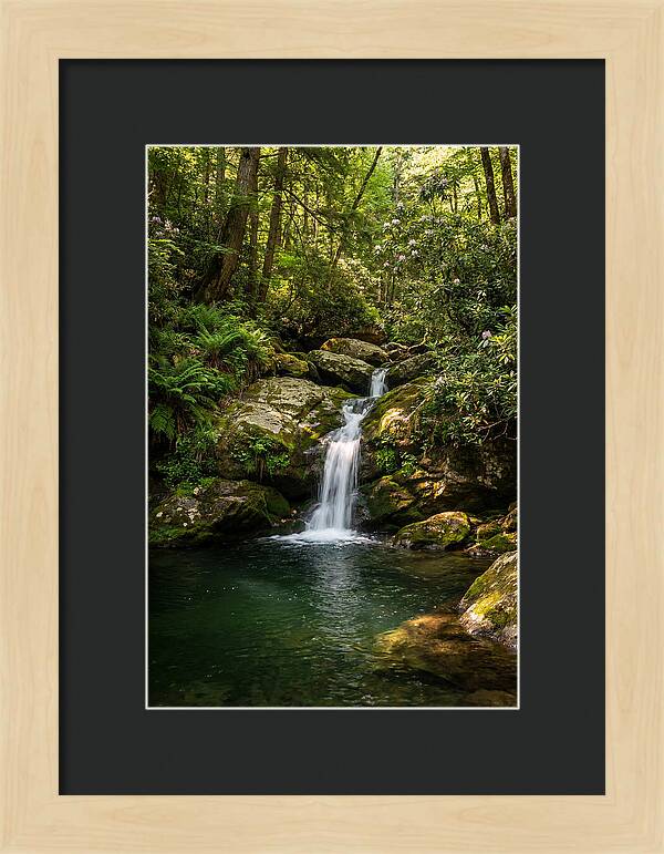 Cedar Falls Tranquility