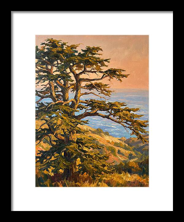 Cedar Tree Overlooking The Mediterranean