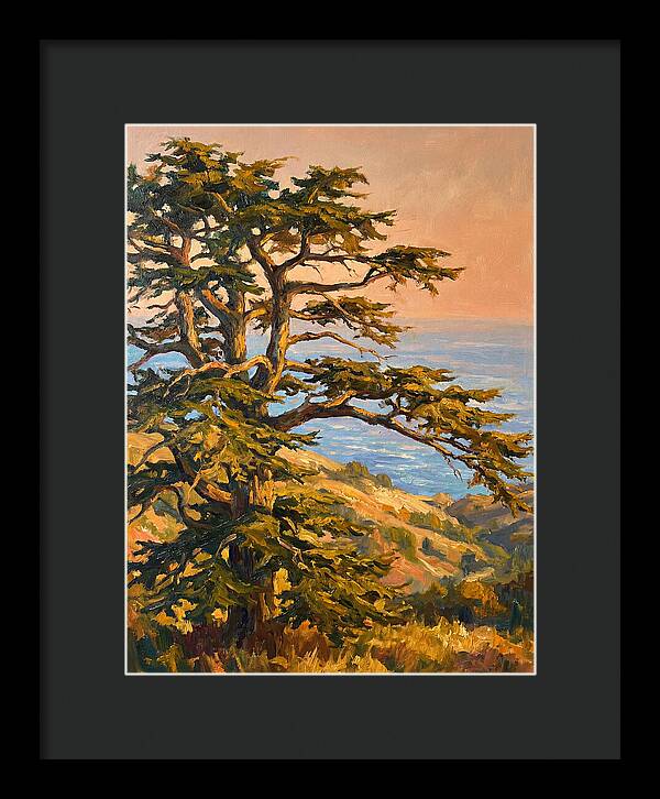 Cedar Tree Overlooking The Mediterranean
