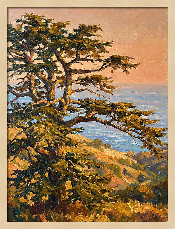 Cedar Tree Overlooking The Mediterranean