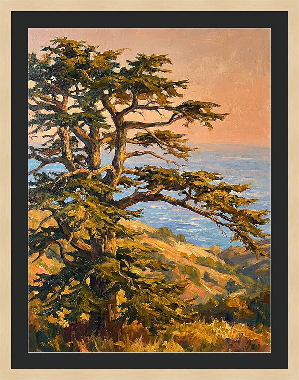 Cedar Tree Overlooking The Mediterranean