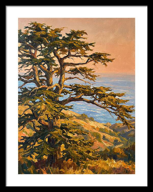Cedar Tree Overlooking The Mediterranean