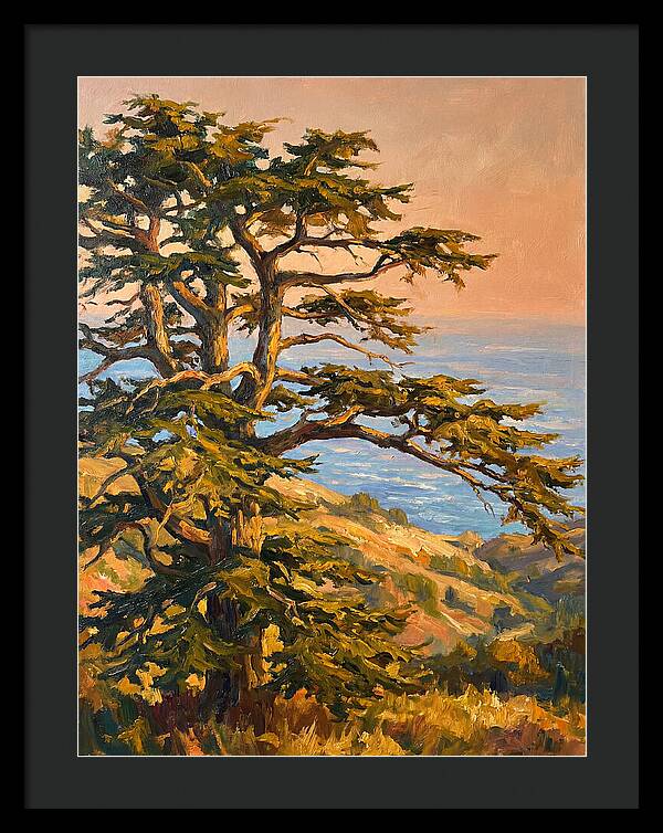 Cedar Tree Overlooking The Mediterranean