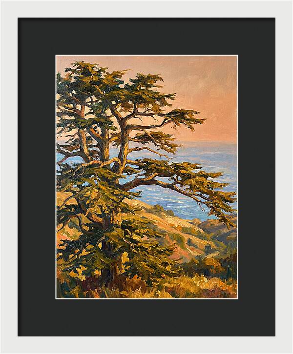Cedar Tree Overlooking The Mediterranean