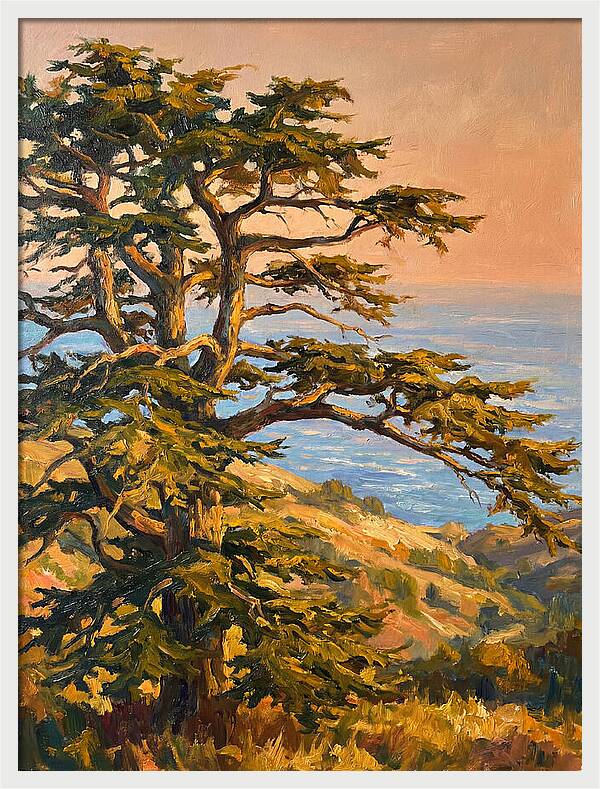 Cedar Tree Overlooking The Mediterranean