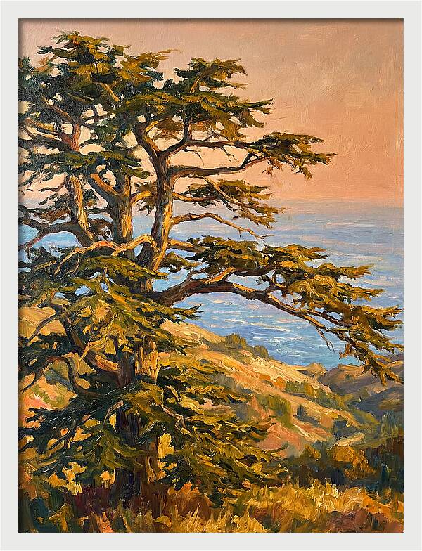 Cedar Tree Overlooking The Mediterranean