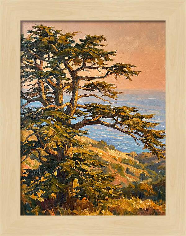Cedar Tree Overlooking The Mediterranean