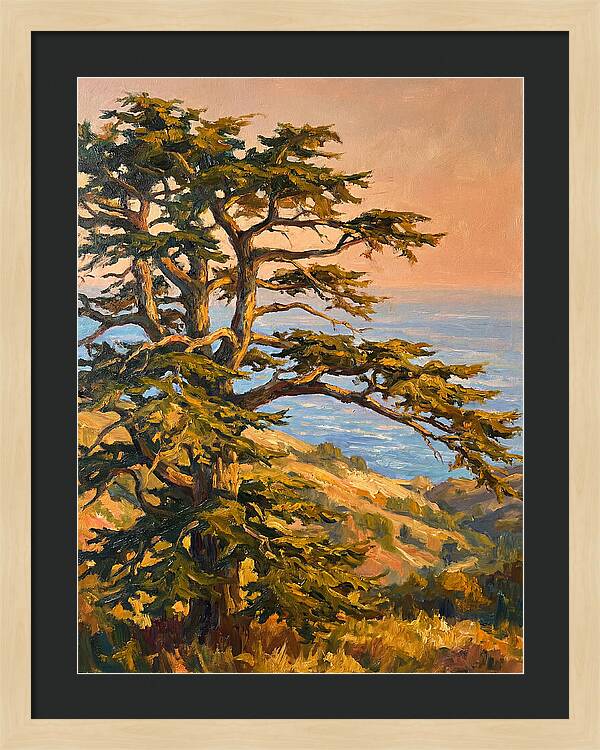 Cedar Tree Overlooking The Mediterranean