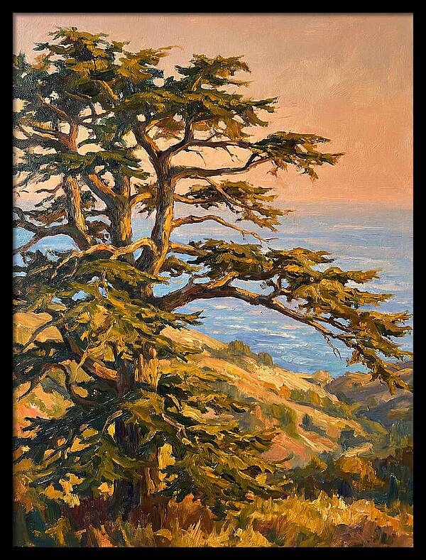 Cedar Tree Overlooking The Mediterranean