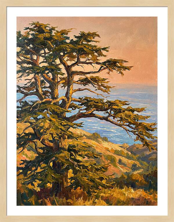 Cedar Tree Overlooking The Mediterranean