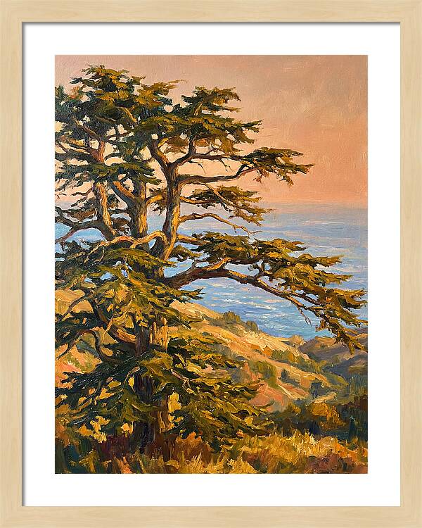 Cedar Tree Overlooking The Mediterranean