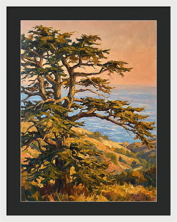 Cedar Tree Overlooking The Mediterranean