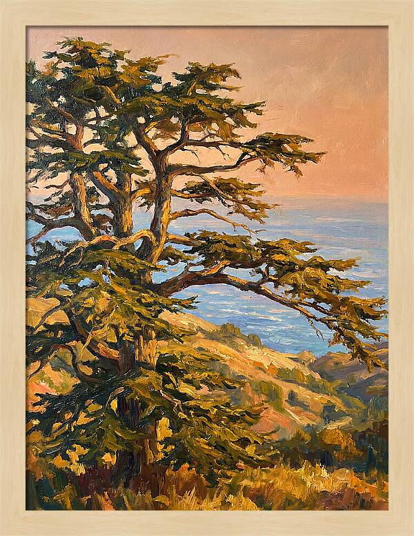 Cedar Tree Overlooking The Mediterranean