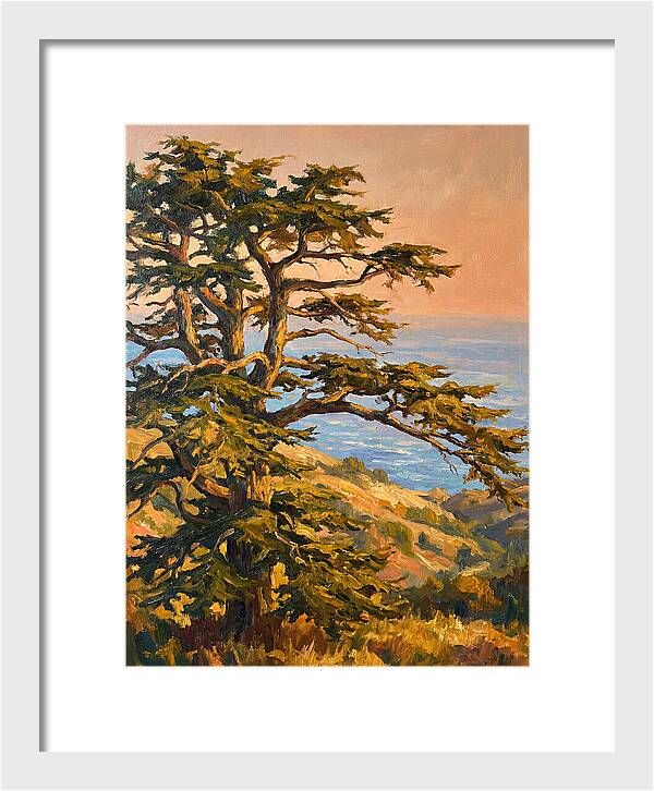 Cedar Tree Overlooking The Mediterranean