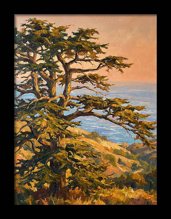 Cedar Tree Overlooking The Mediterranean