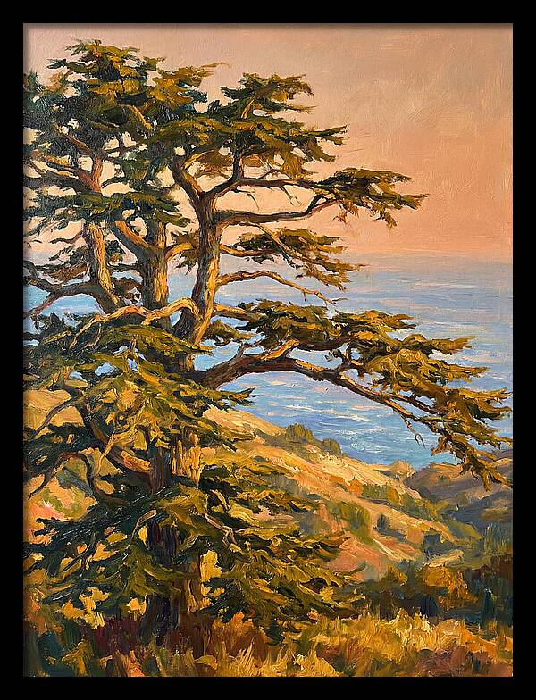 Cedar Tree Overlooking The Mediterranean