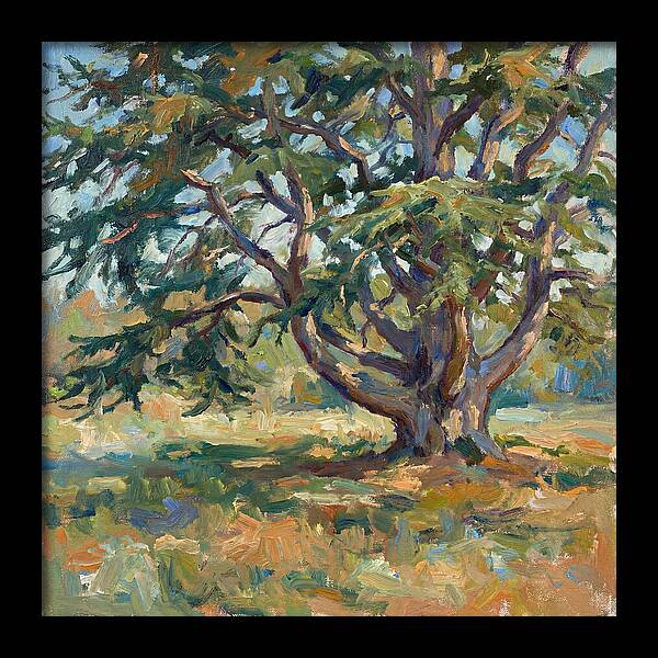 Cedar Tree Serenity