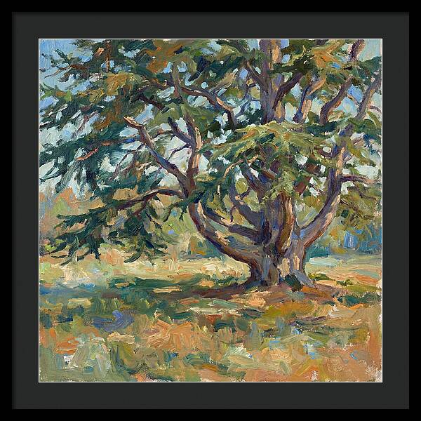 Cedar Tree Serenity