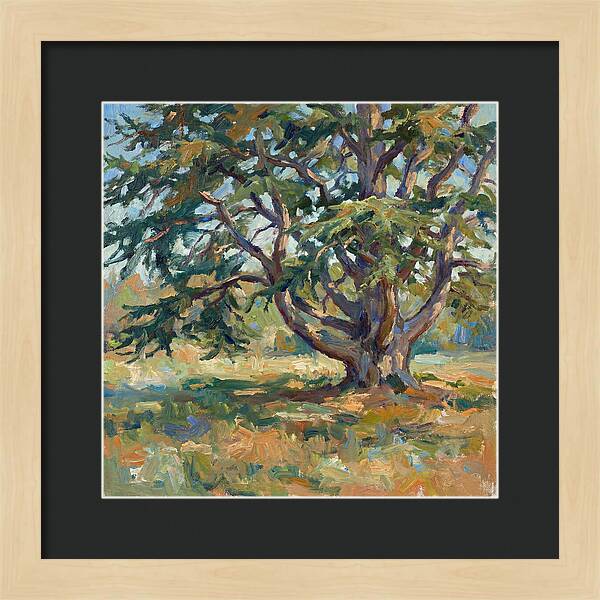 Cedar Tree Serenity