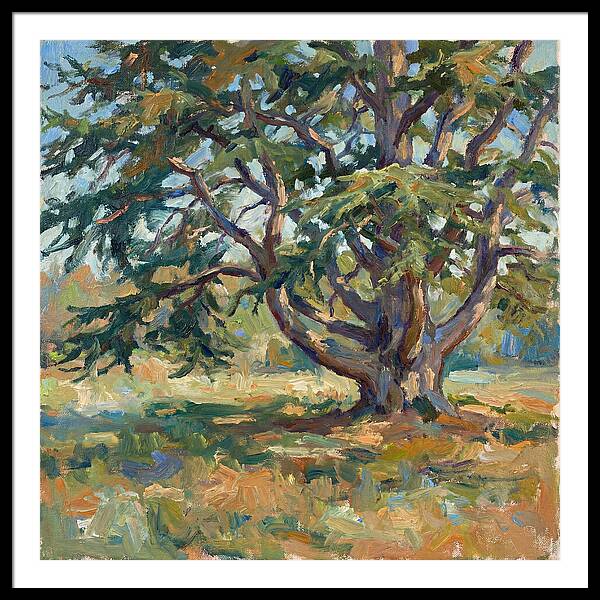 Cedar Tree Serenity