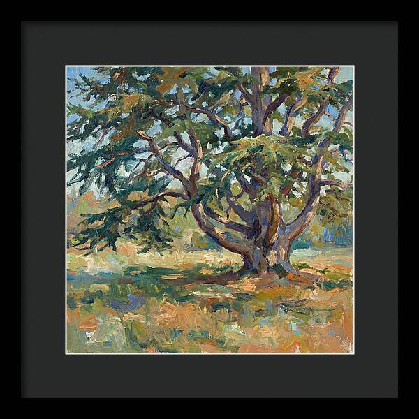 Cedar Tree Serenity