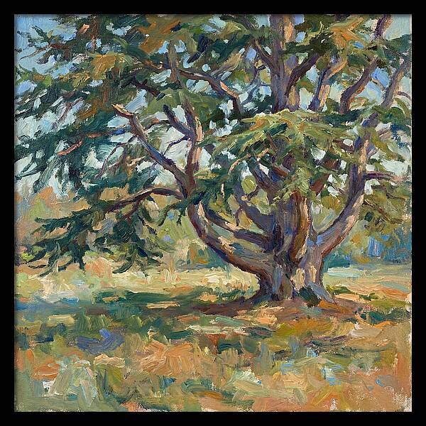 Cedar Tree Serenity