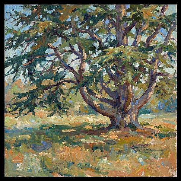 Cedar Tree Serenity