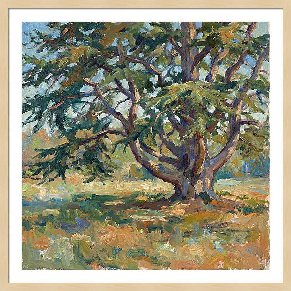 Cedar Tree Serenity
