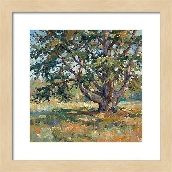 Cedar Tree Serenity