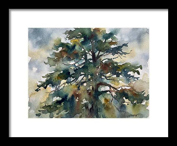 Cedar Tree Tranquility