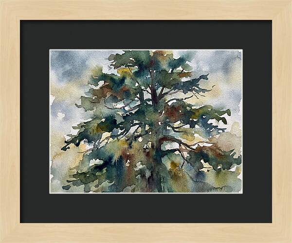Cedar Tree Tranquility