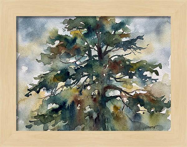 Cedar Tree Tranquility
