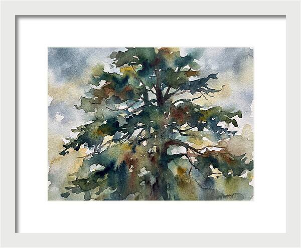 Cedar Tree Tranquility