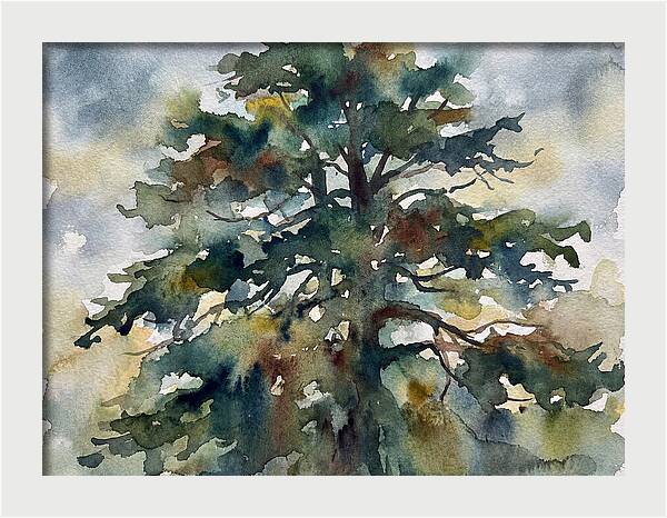 Cedar Tree Tranquility