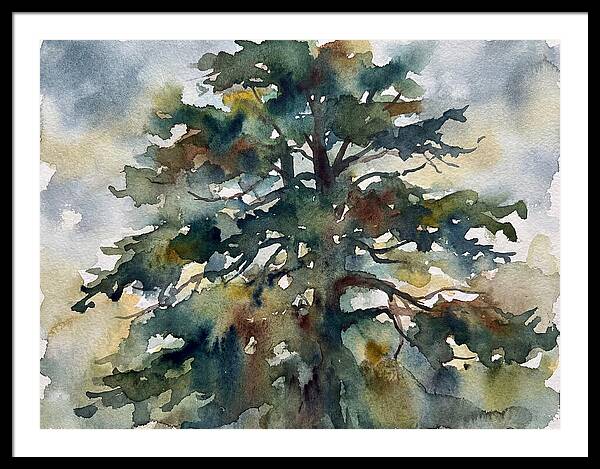 Cedar Tree Tranquility