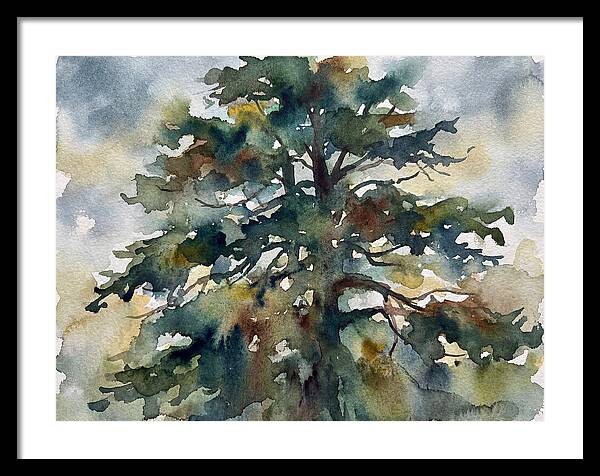 Cedar Tree Tranquility