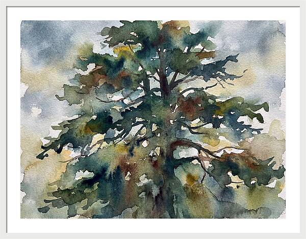 Cedar Tree Tranquility
