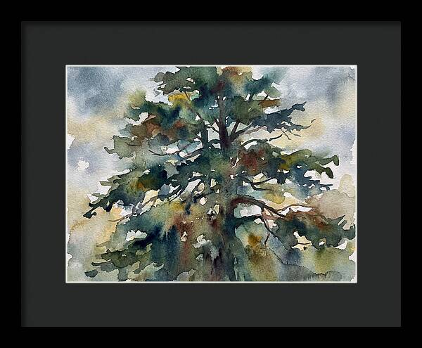 Cedar Tree Tranquility