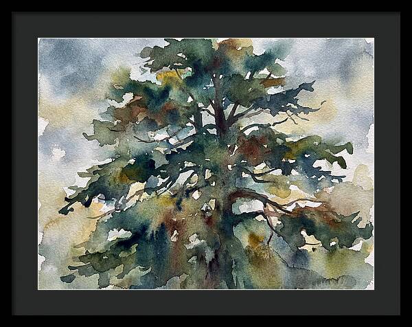 Cedar Tree Tranquility