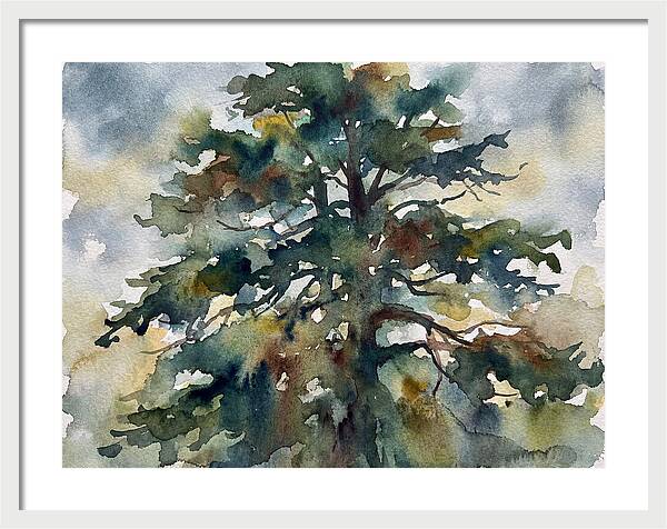 Cedar Tree Tranquility