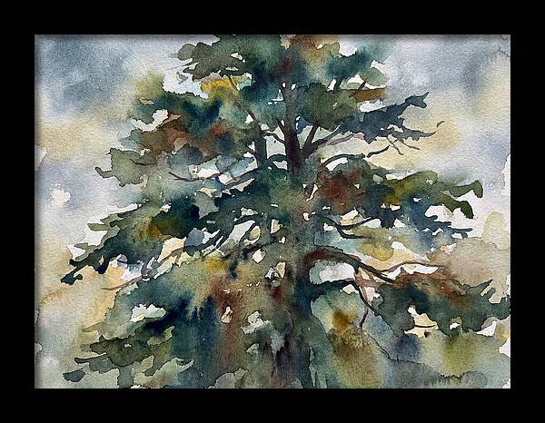 Cedar Tree Tranquility
