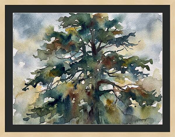 Cedar Tree Tranquility
