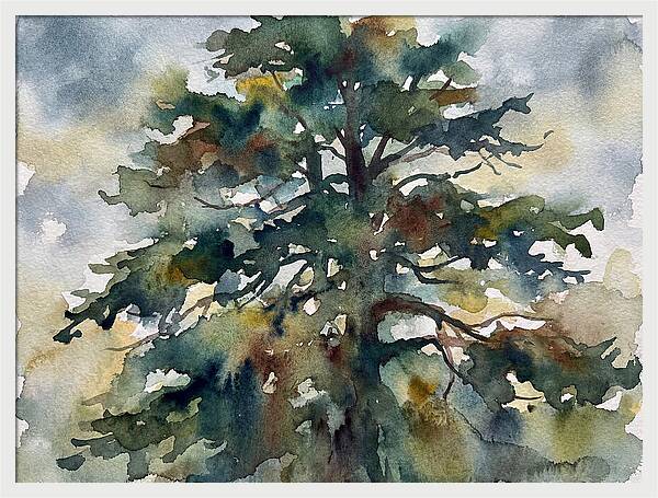 Cedar Tree Tranquility
